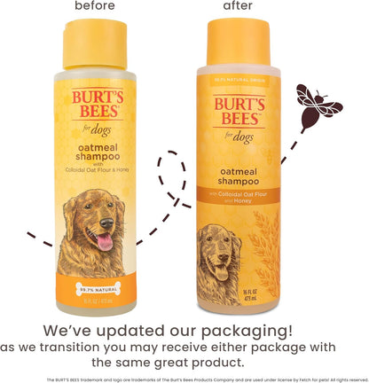 Oatmeal Dog Shampoo 