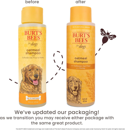 Oatmeal Dog Shampoo 