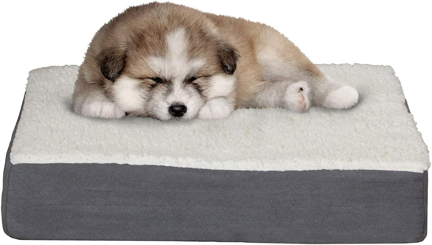 Orthopedic Dog Bed 