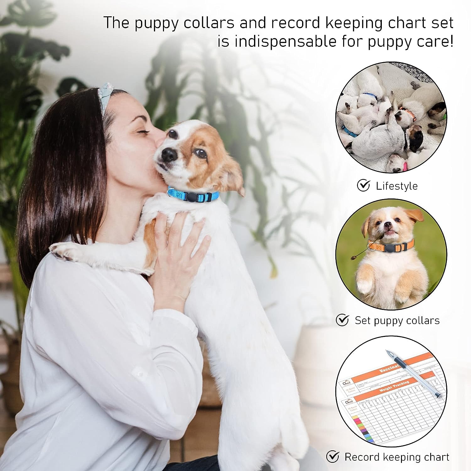 Adjustable Litter Collars Pups 