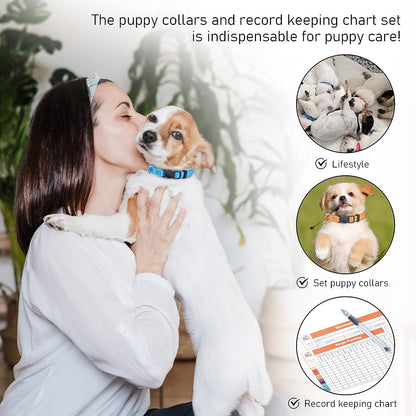 Adjustable Litter Collars Pups 