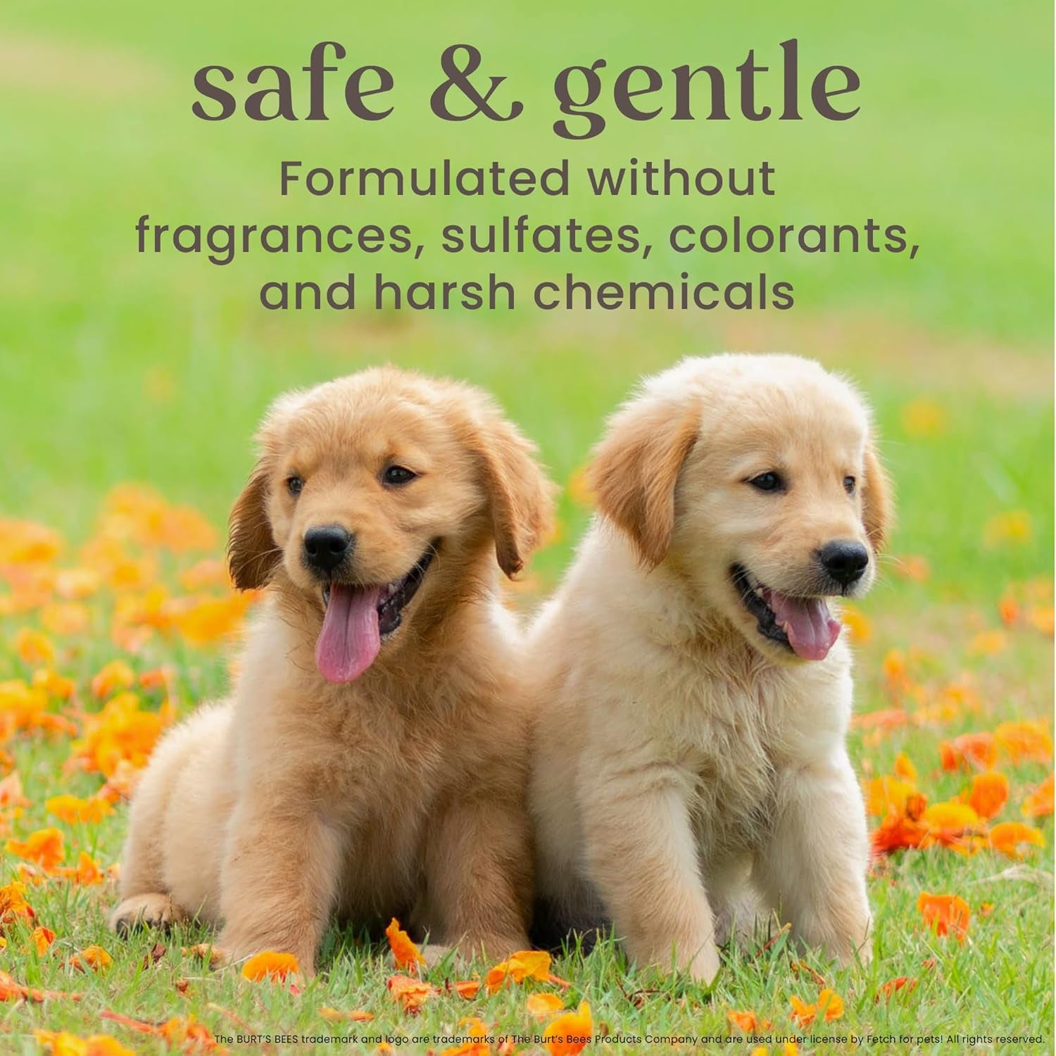 Oatmeal Dog Shampoo 