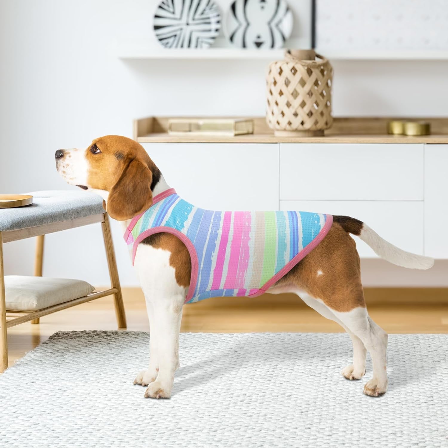 2Pack Summer Vest 
