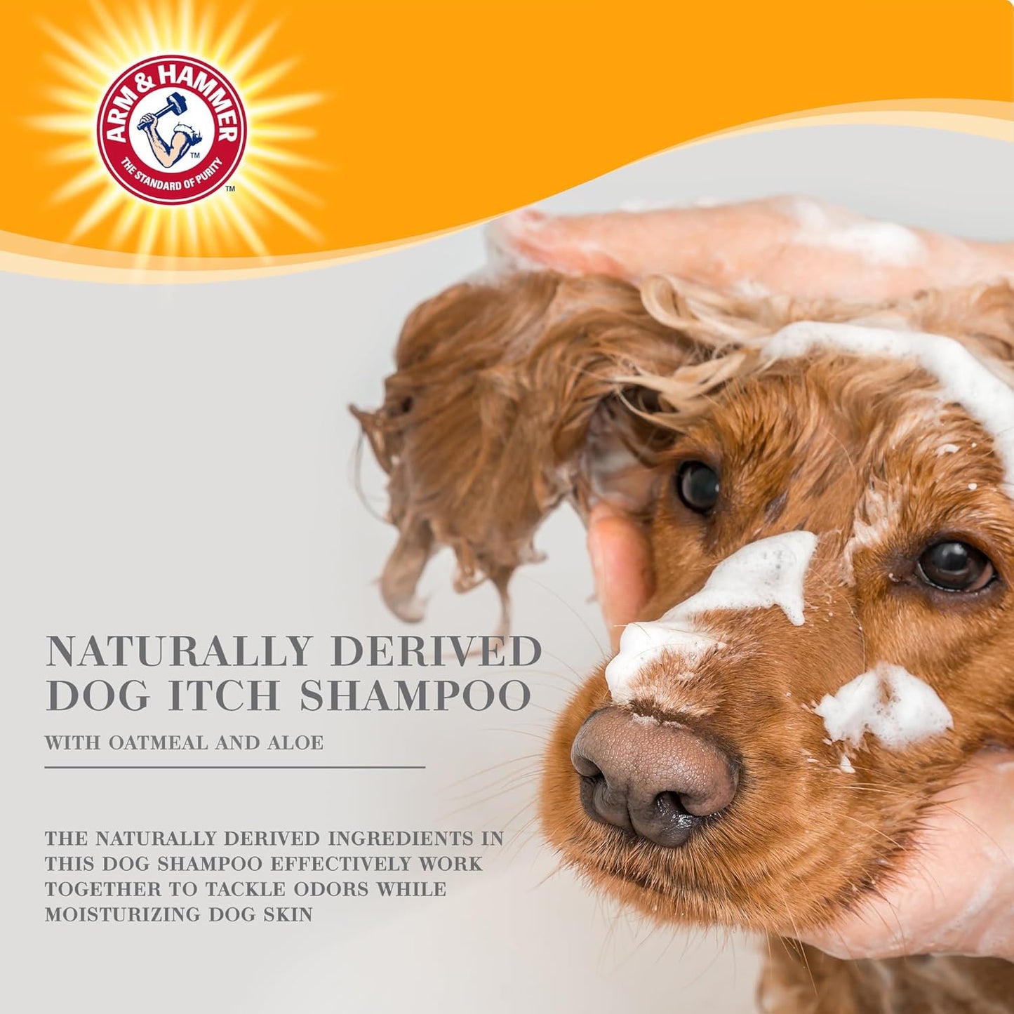  Ultra Fresh Itch Relief Shampoo
