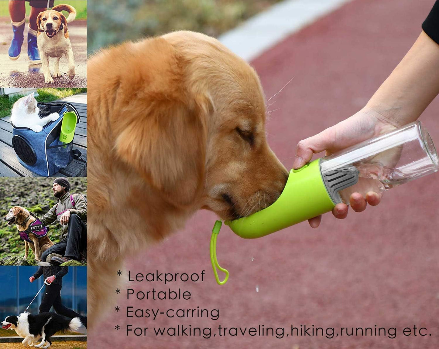 Water Bottle with Filter BPA