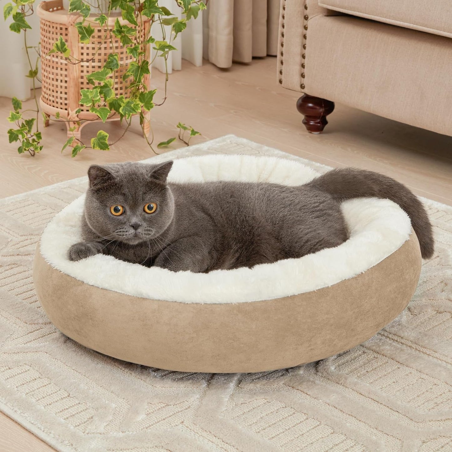 Water-Resistant Cushion 