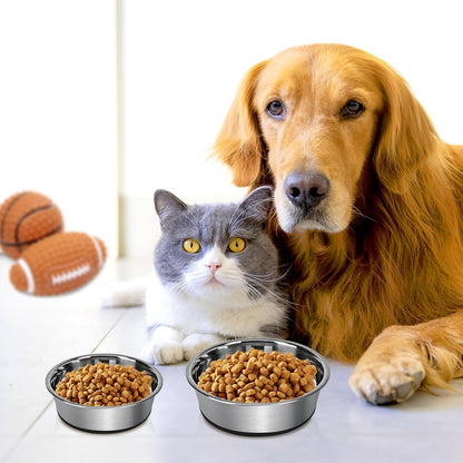 Anti-Slip Dog Bowls