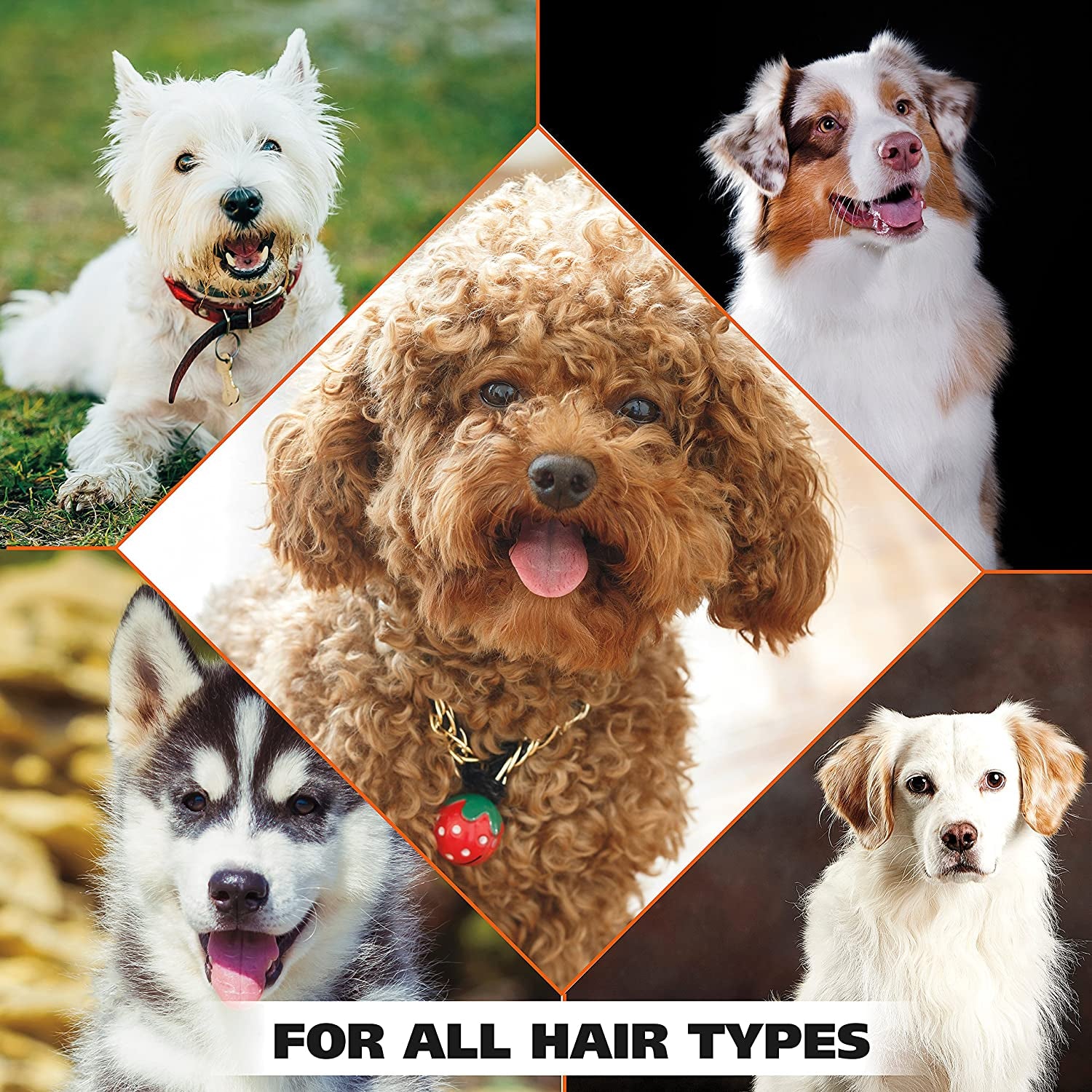 Dry Skin & Itch Relief Pet Shampoo
