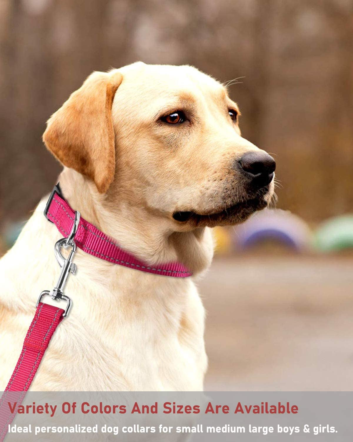 Reflective Dog Collar with Adjustable Buckle 