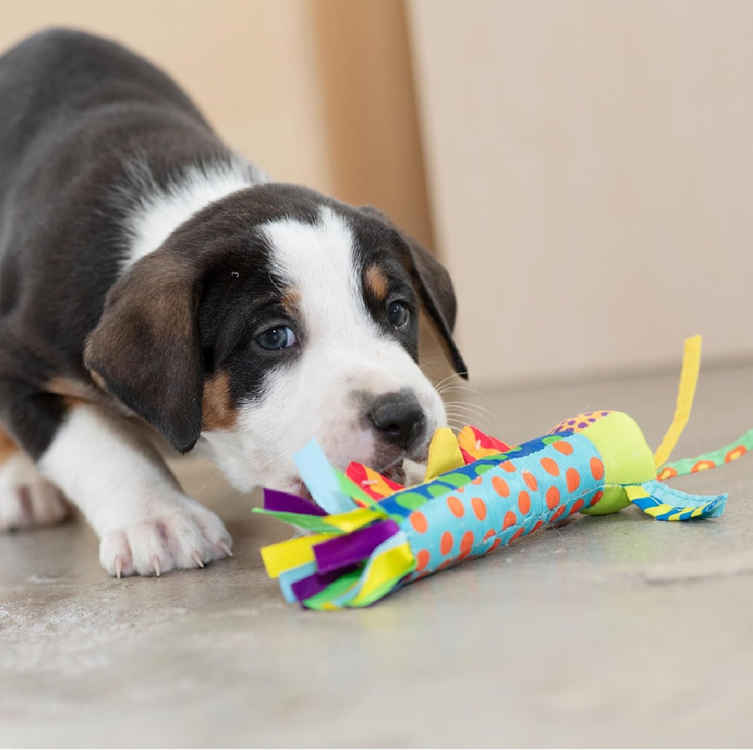 Cool Teething Stick for Dogs